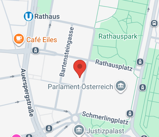 Google Maps Platzhalter